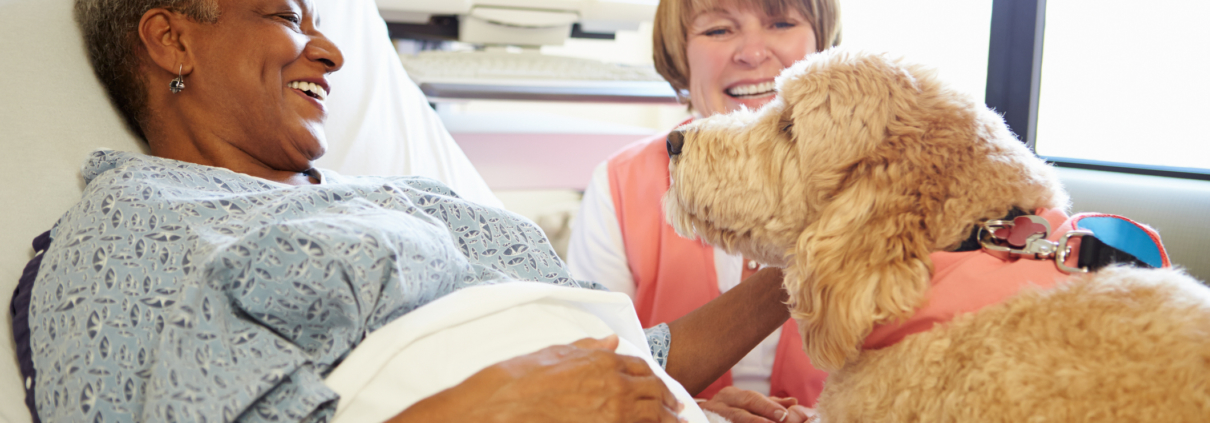 Therapy Dog Visit